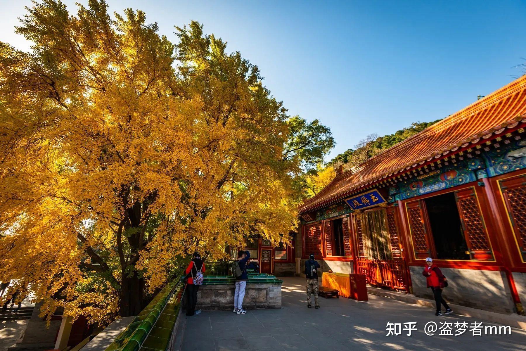 回忆三年前游览的八大处公园-北京旅游攻略-游记-去哪儿攻略