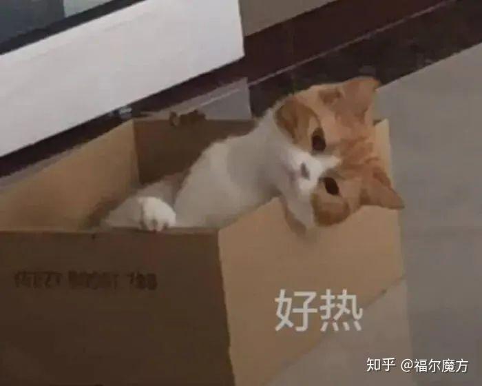 出门的文案沙雕,出门的文案沙雕搞笑