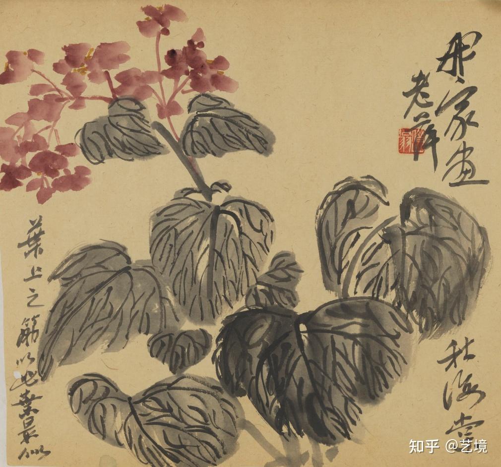 齐白石《花卉图稿》分享- 知乎