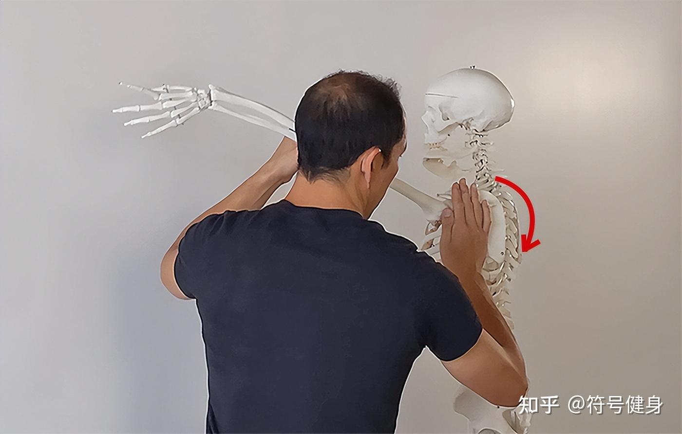 前锯肌怎么练? - 知乎