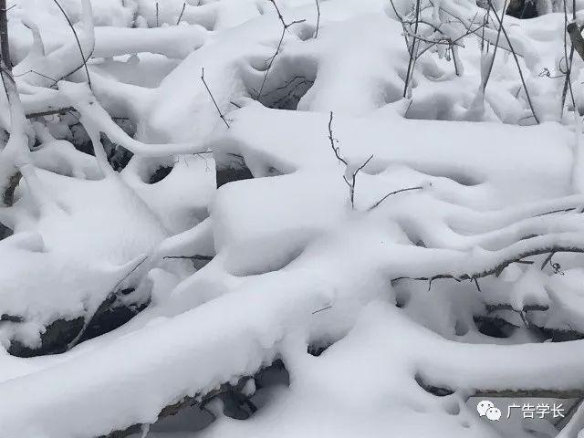 工科女跨专业考研难度多大?