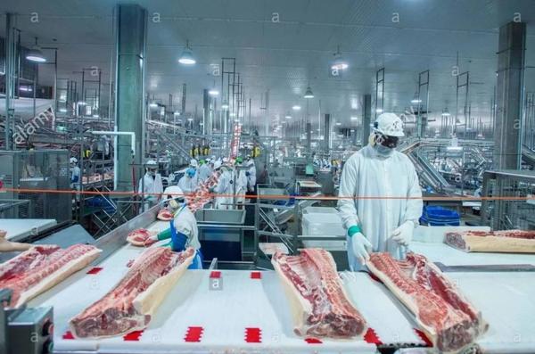 如何评估一块猪肉好不好?关于肉质你需要知道的事