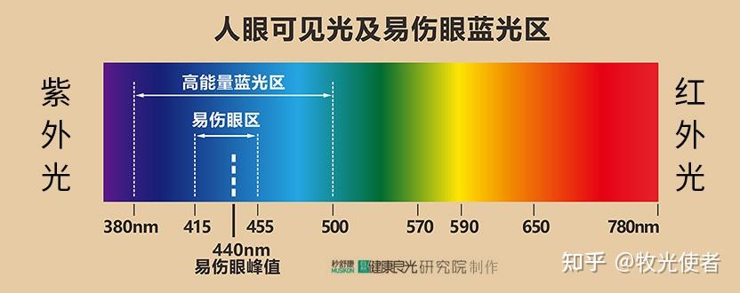 人们将光分为三个部分:紫外光,可见光和红外光