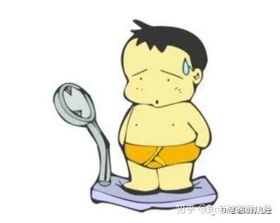 什么是单纯性肥胖症 v2-bd190850c16fd3f60f4695141df5f254_b.jpg