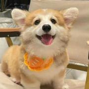 教练打篮球