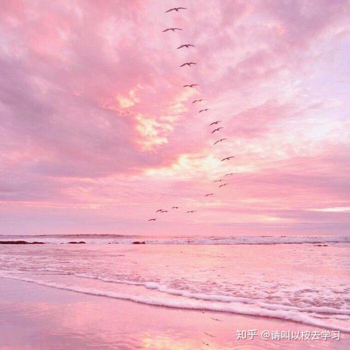 有没有适合温柔句子的配图吗