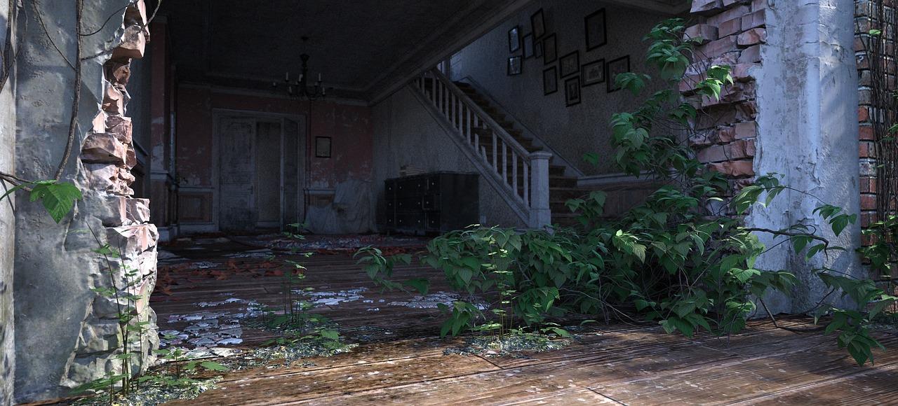 什么植物吸收新房味道