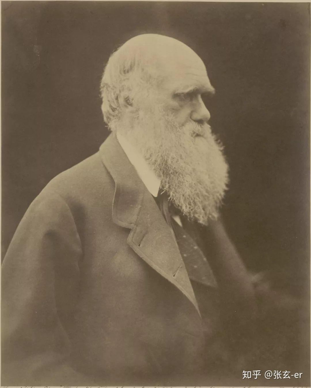 早期肖像摄影大师 | 卡梅伦 cameron(1815-1879)