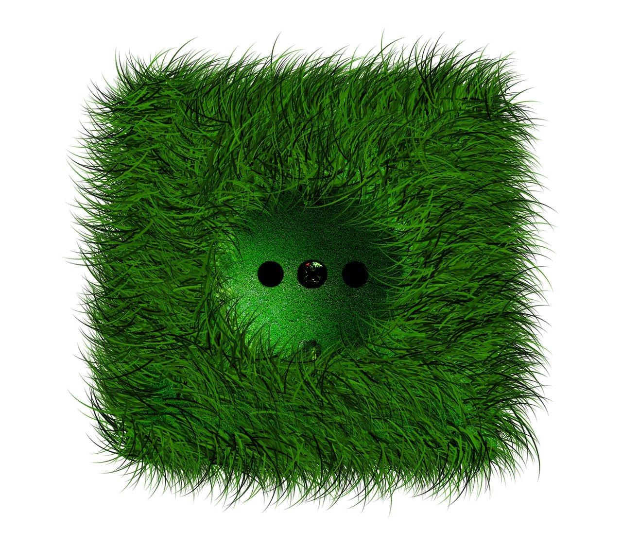 插座最小多少安