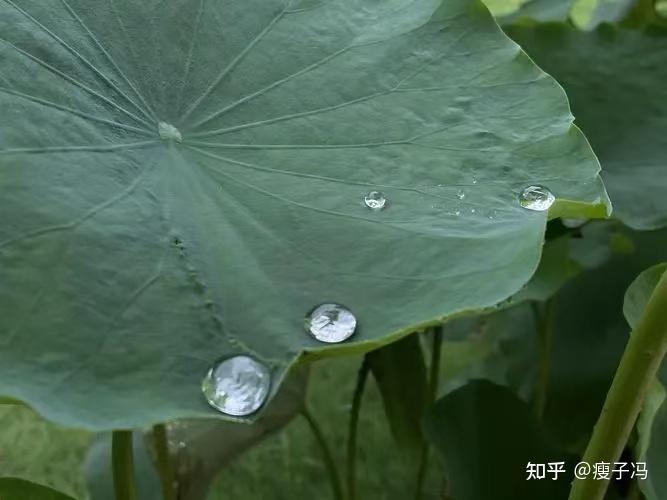 1 人贊同了該文章起心動念皆是因,當下所受皆是果.