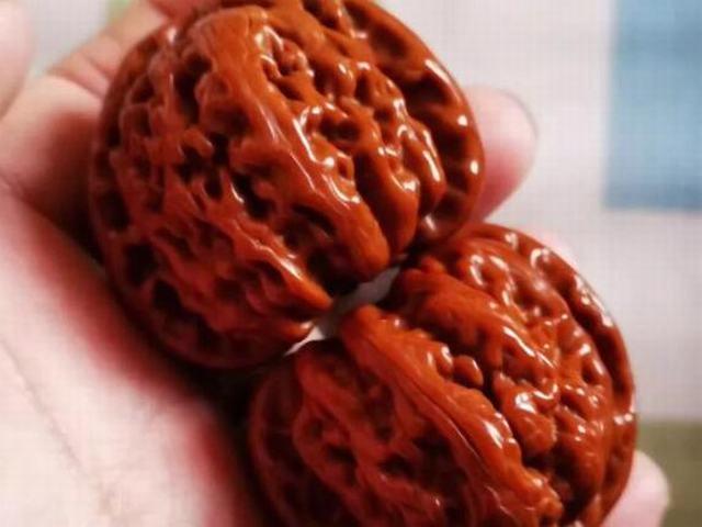 No.539 ❤️遊ぶクルミ　文玩核桃 高級小衆　大红袍（异形夫妻对拜） 一对文玩核桃到底能玩多久？其寿命期限取决于你！ - 知乎