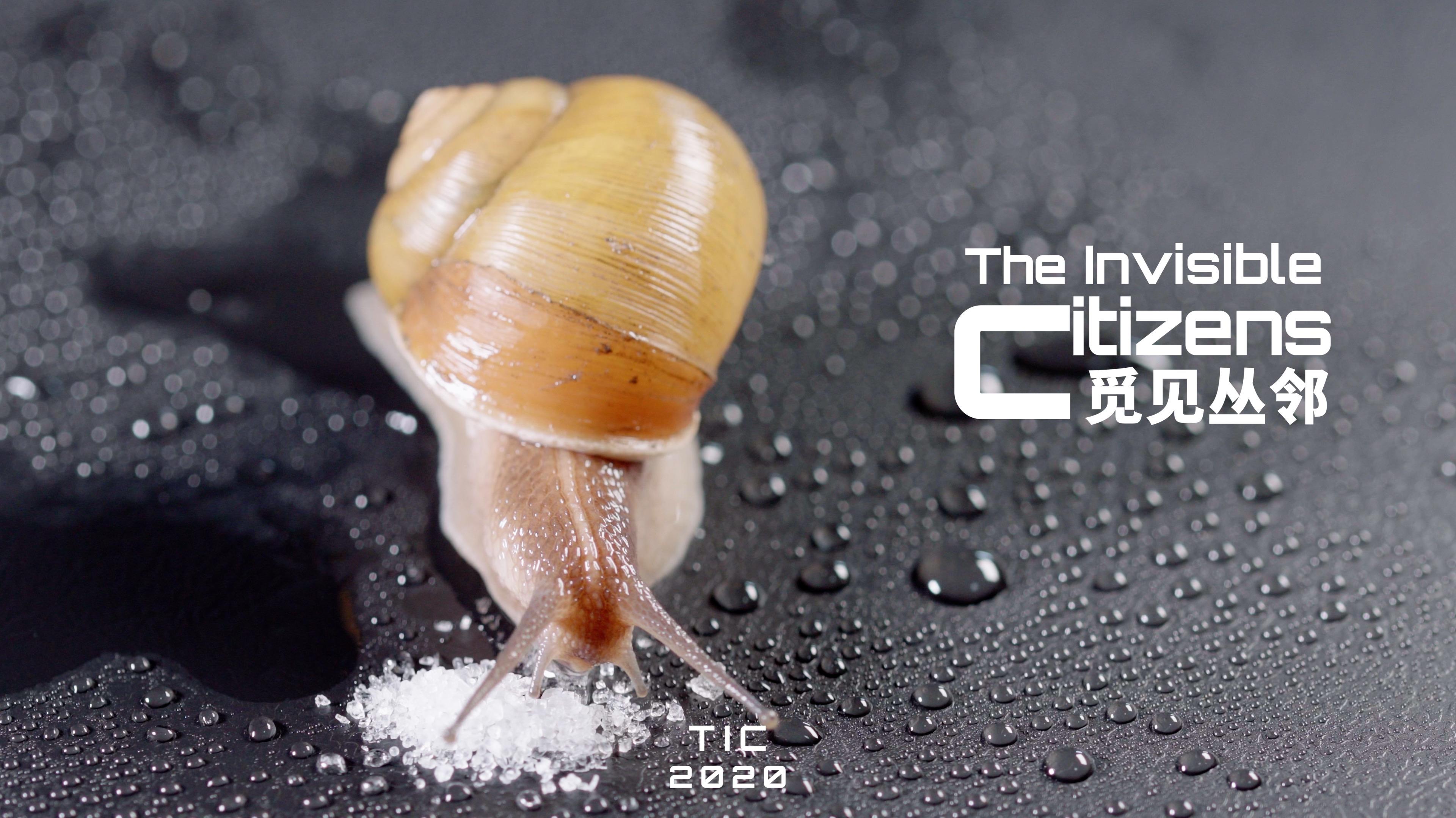 往蜗牛身上撒盐真的会化成水么觅见丛邻