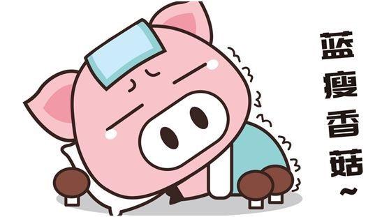 药剂师学习笔记之支持疗法:恶心呕吐(nausea and vomiting)