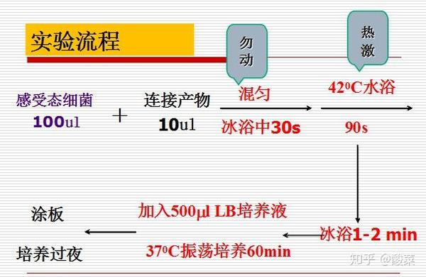 生物分子类实验室常用实验技术原理汇总 知乎