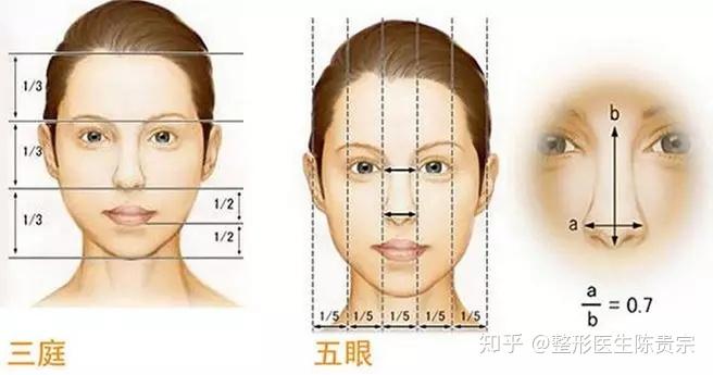 如何判断自己的脸型和三庭五眼位置 长相属于哪种类型? - 知乎