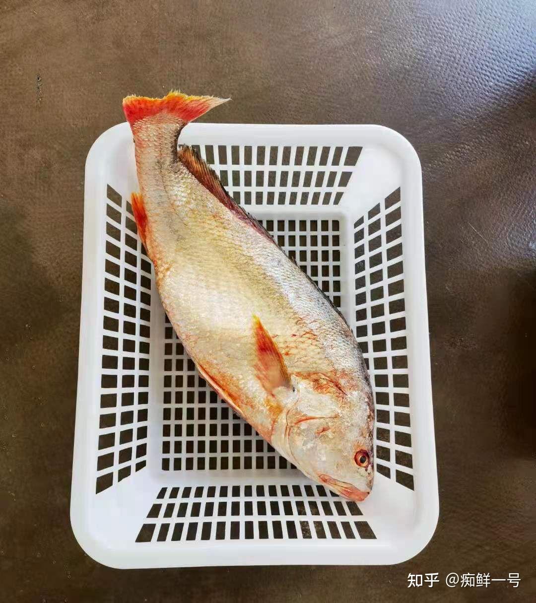 2斤,清蒸肉质非常细嫩,白花鱼刺非常的少,基本是没