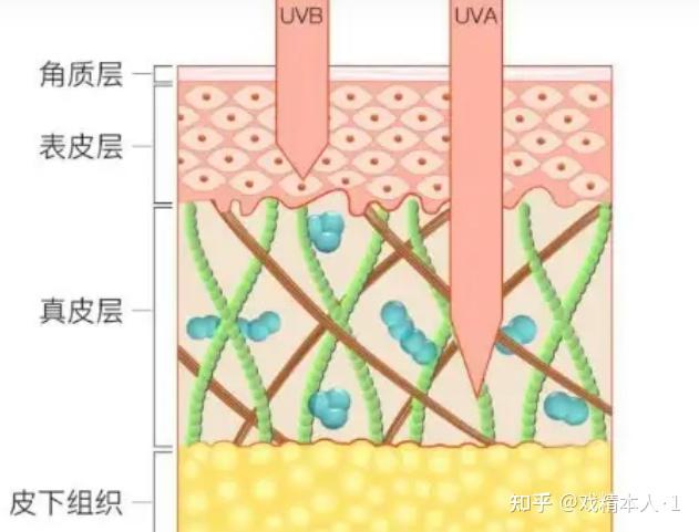 v2-bdb30fa09e5d3841cfa3d29f13d9a7d4_r.jpg