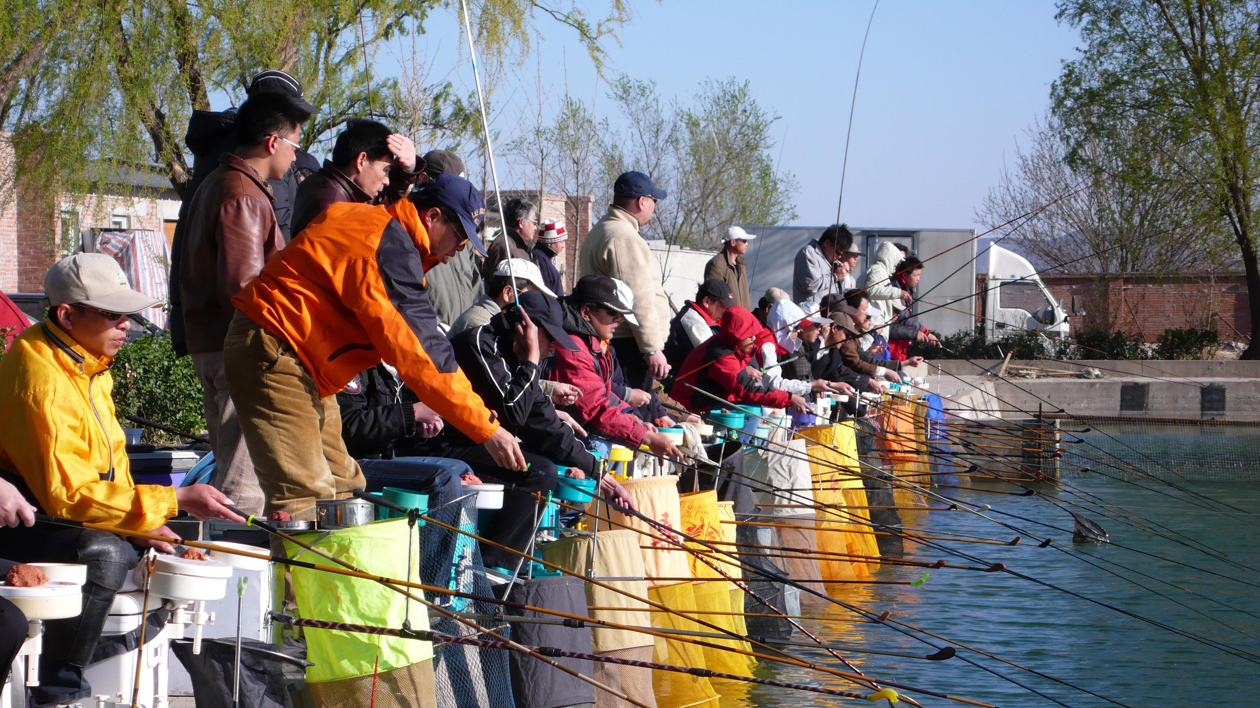 黑坑钓鱼想比别人钓得多该怎么做