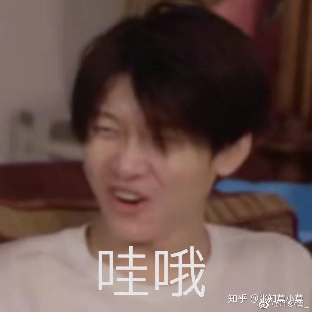 姐妹们,可不可以提供给我花少北的表情包啊?