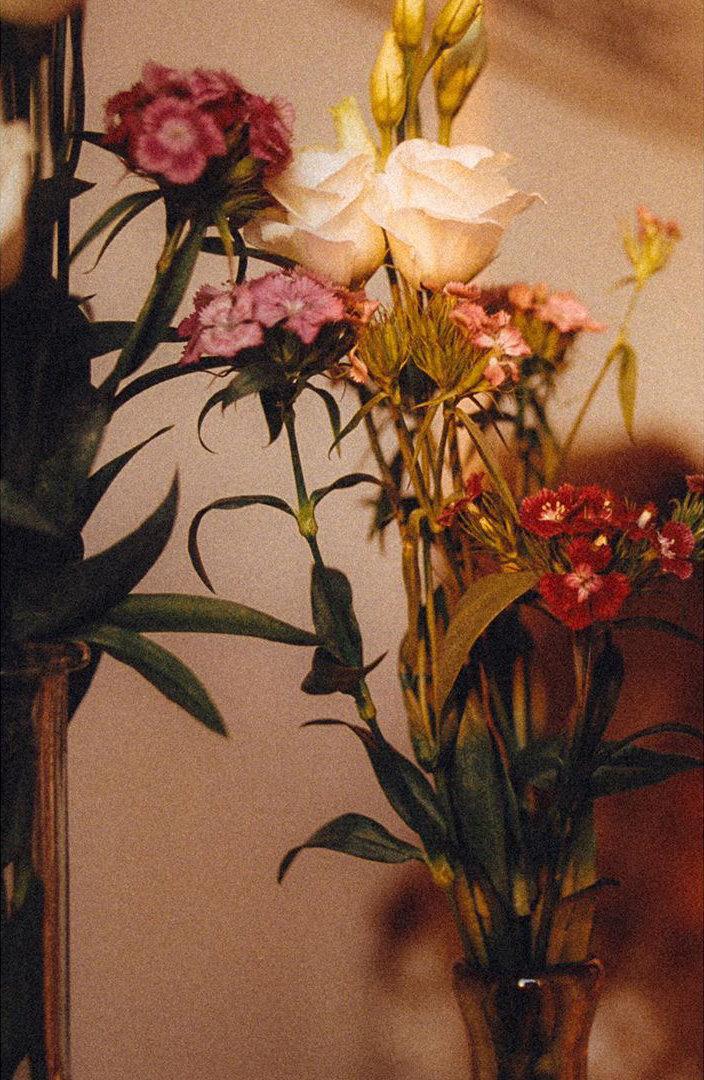 有哪些非常文艺的图片?