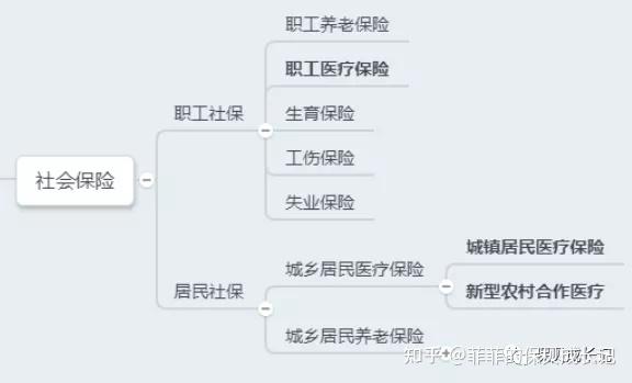 中国的社保体系 - 知乎