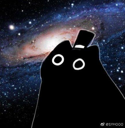 我想问一下这个黑猫的表情包是出自哪里的呀