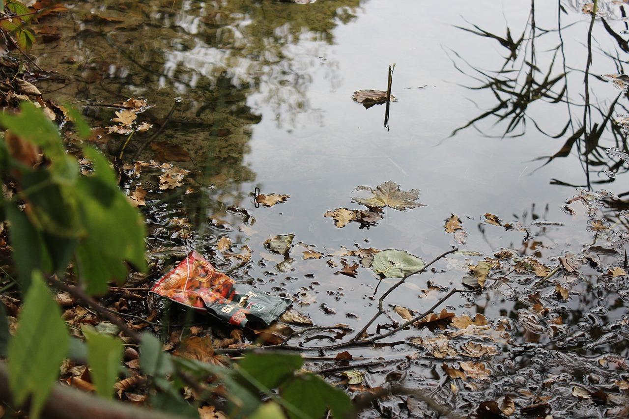 2. 专业除铅方案