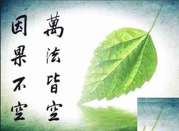 万物的因果轮回