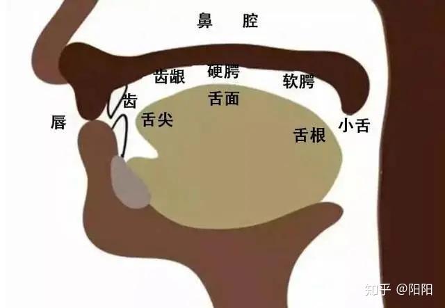 播音主持“吐字归音”,我们应如何练习? - 知乎