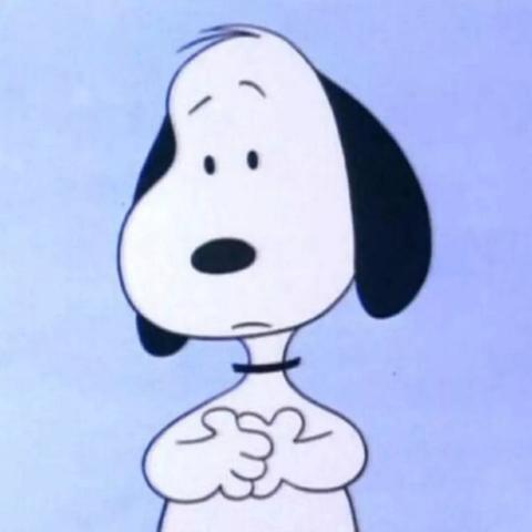 我这个和查理布朗一样秃的秃头女孩儿一定要有史努比的头像.