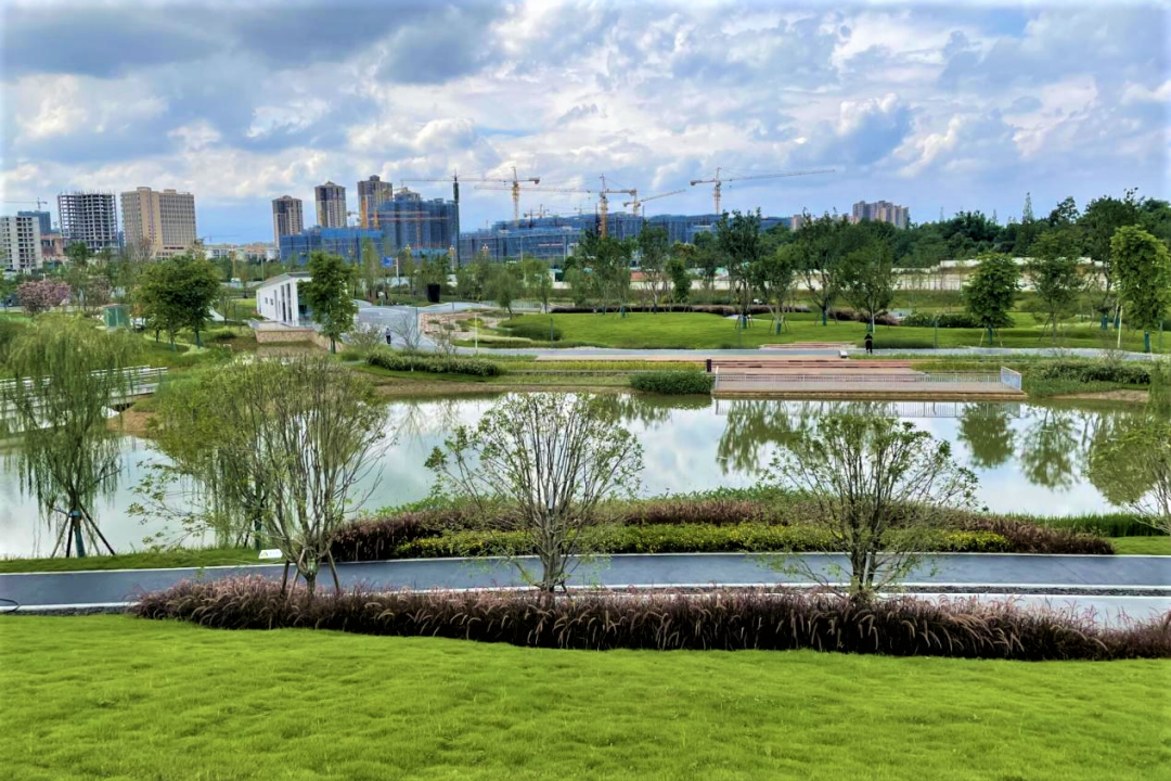 城郊結合部示範點位—泉水河溼地公園市城管委積極實施城郊結合部環境