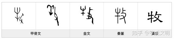 牧——每日一字·攴部字 - 知乎