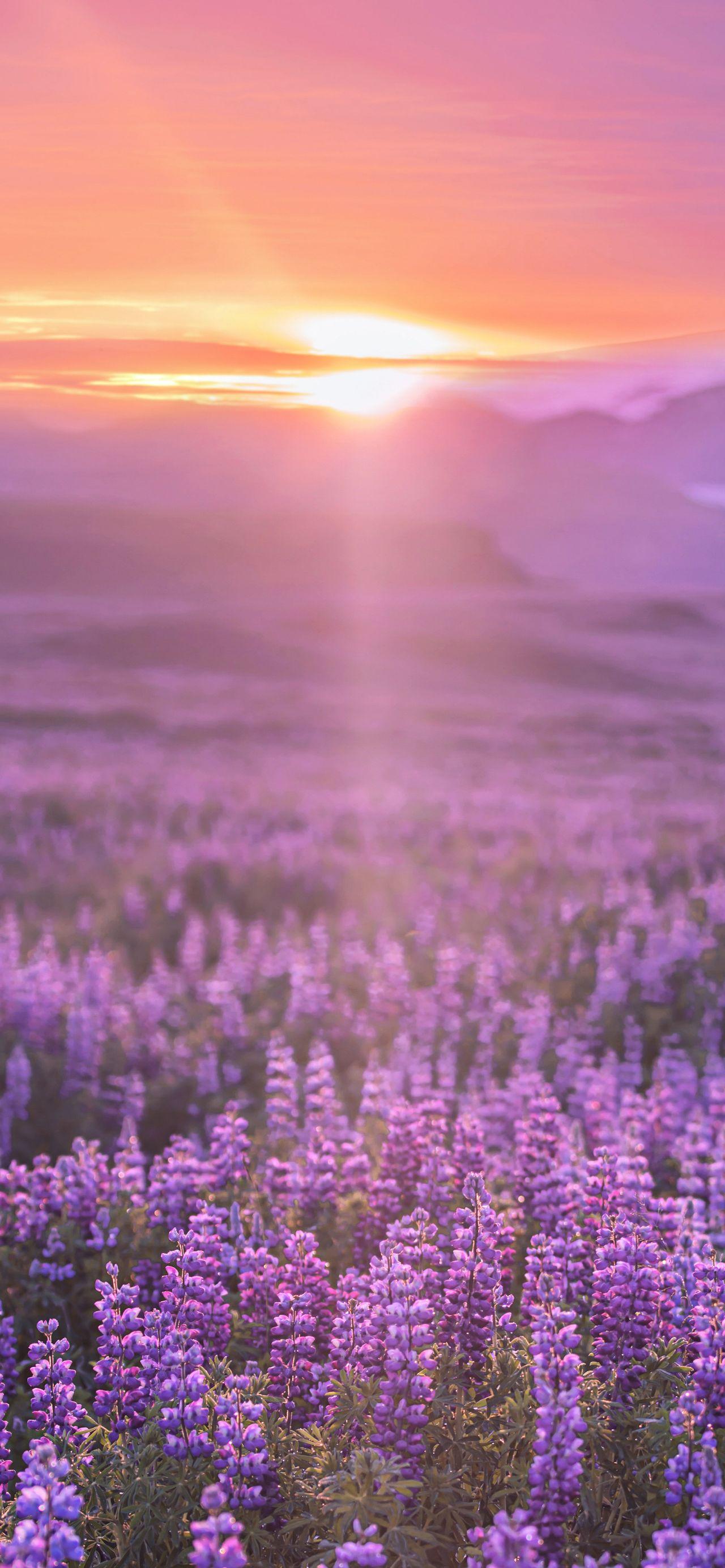 风景壁纸 - 知乎