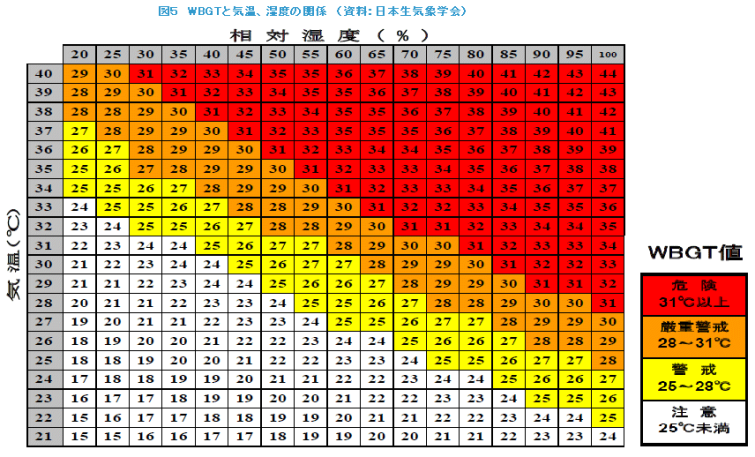 怎样的天气条件，对一场马拉松来说是最完美的？ 知乎 