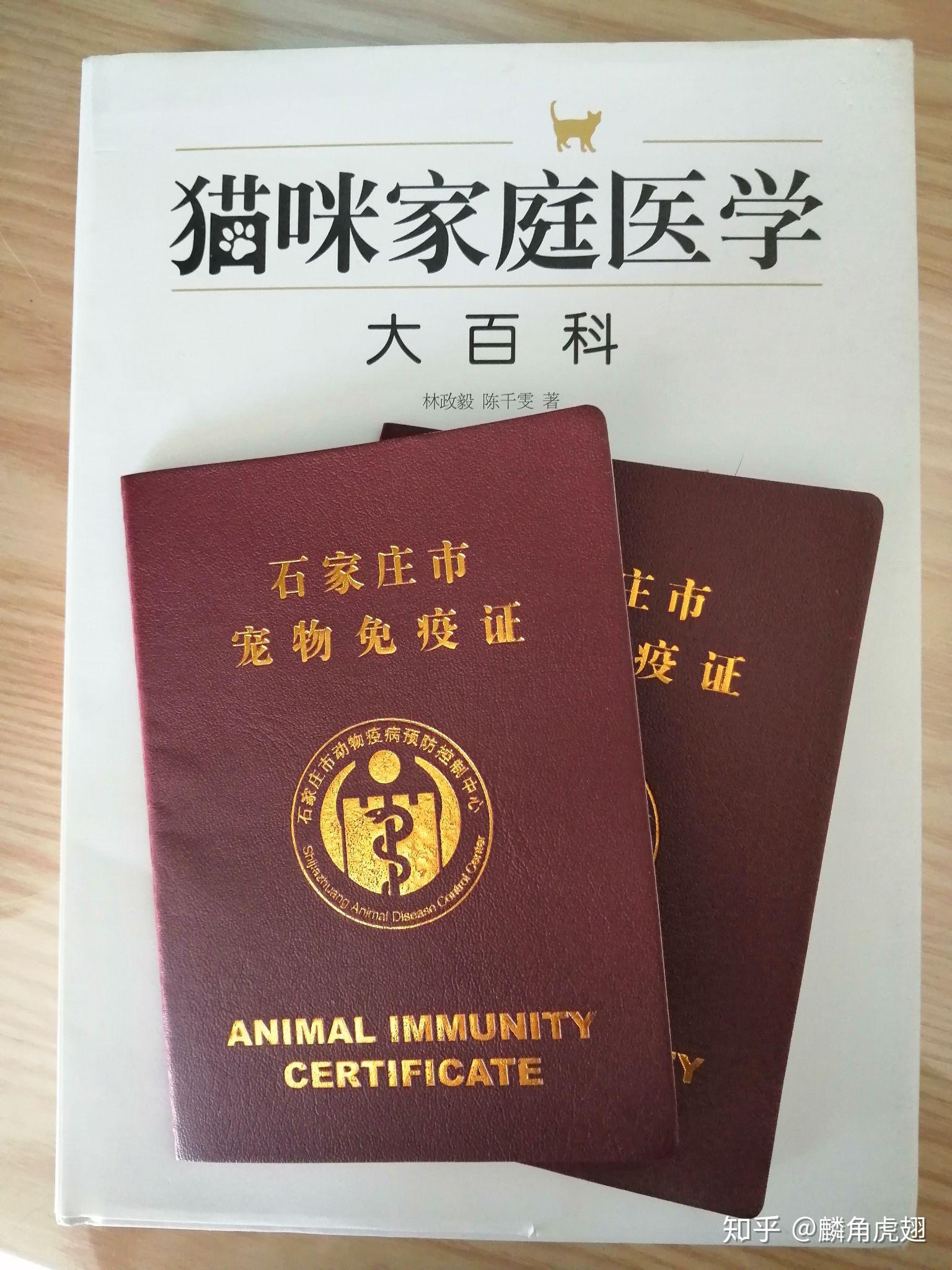 打造动物检疫闭环管理“无纸化”样板 深圳市正式启用动物检疫证明电子证照-中国质量新闻网