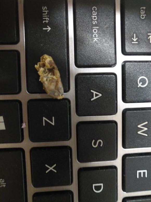 闷了耳朵好久的耳屎轻轻地被挖了出来