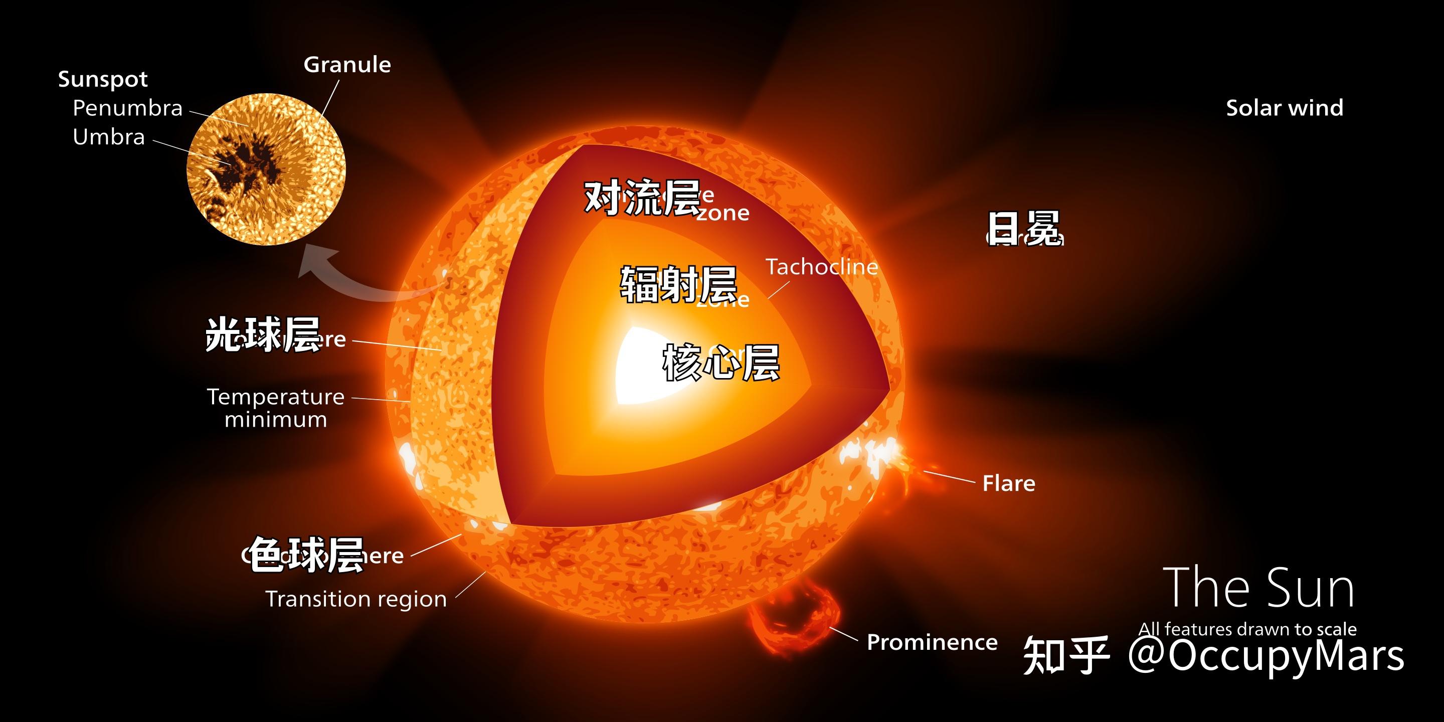太阳分层结构图图片