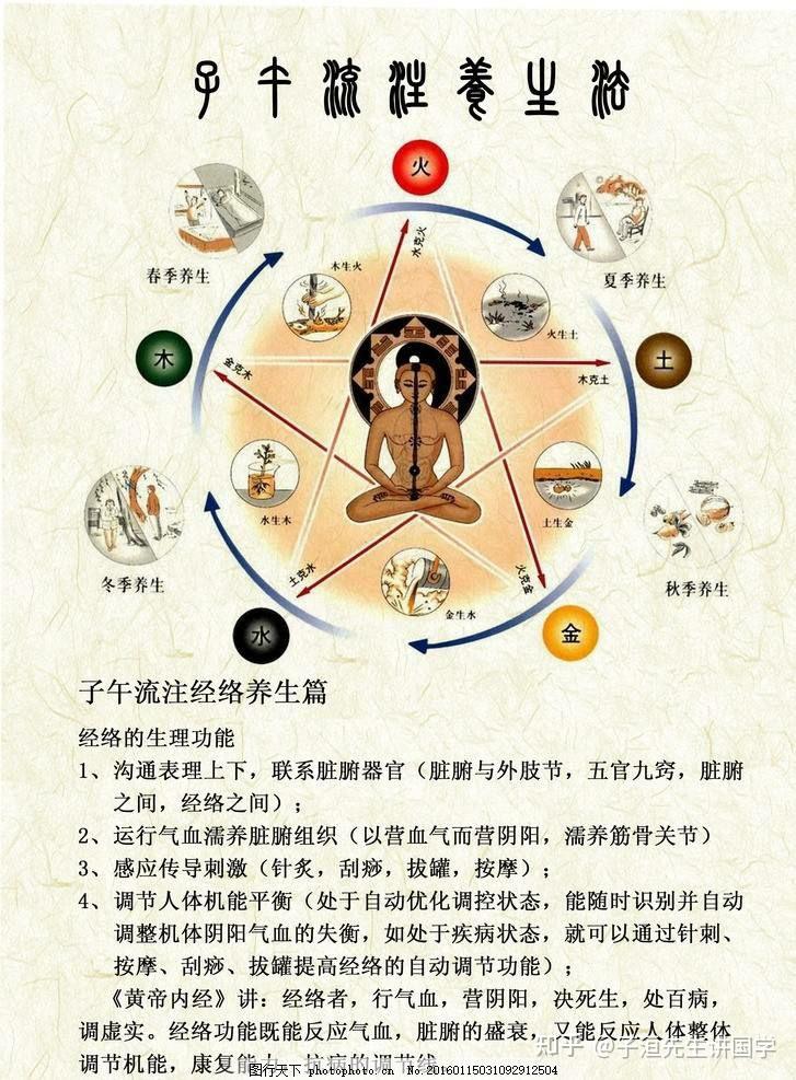 中医基础知识入门 zhuanlan.zhihu.com