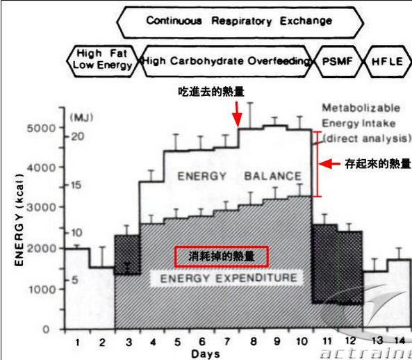 人口代谢率_基础代谢率对照表