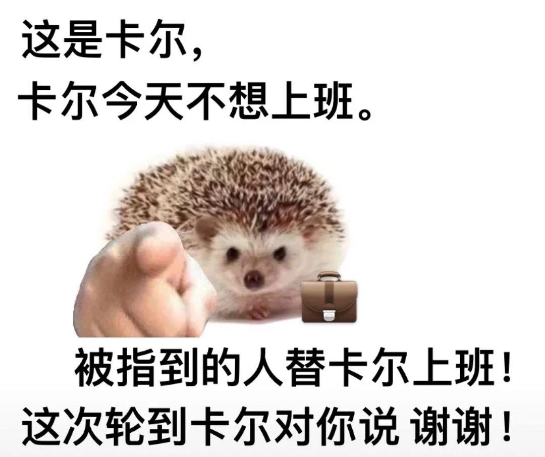 求刺猬卡尔表情包.哪哪都找不着?