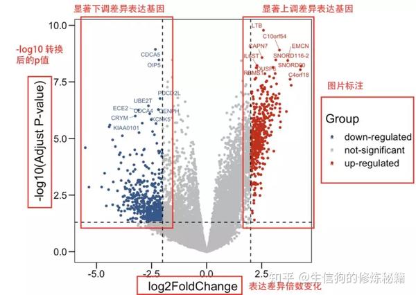 用R语言画带基因名标签的火山图 - 知乎