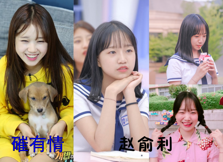 一篇文章帮嫌麻烦的你看完综艺《偶像学校》