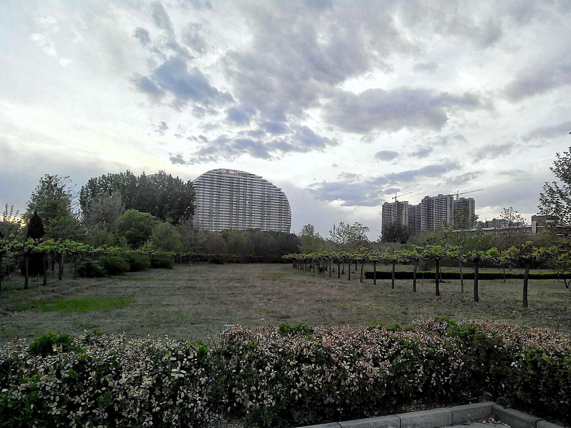 有没有因为一首歌而想起一个人?