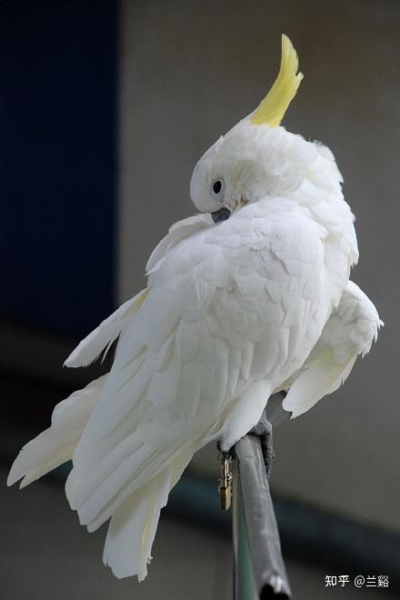 阿兰开始的几天,心里始终有些不安,常常偷偷地在心里不断的祈祷,多么