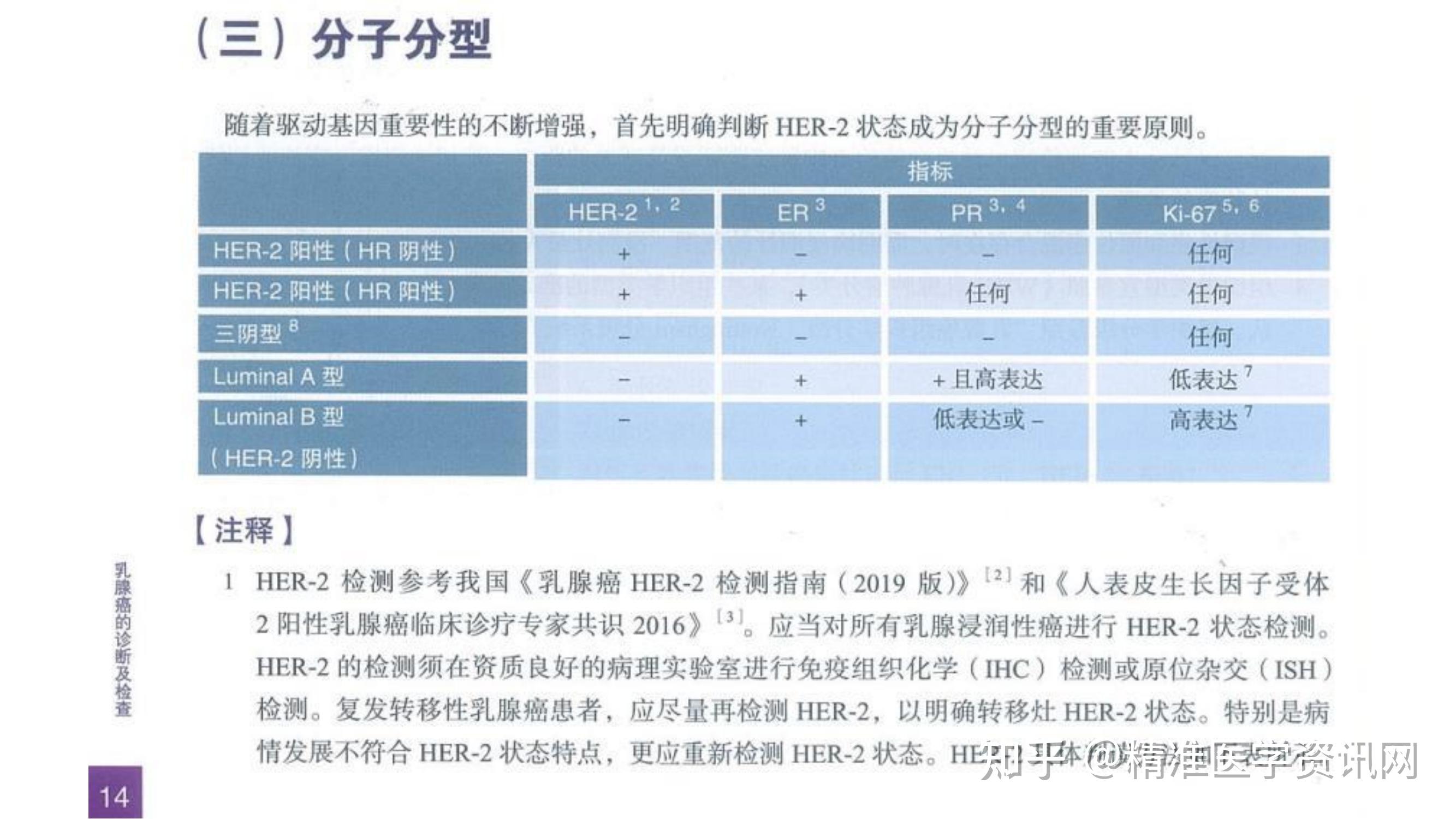 中国临床肿瘤学会CSCO乳腺癌诊疗指南 2019书籍