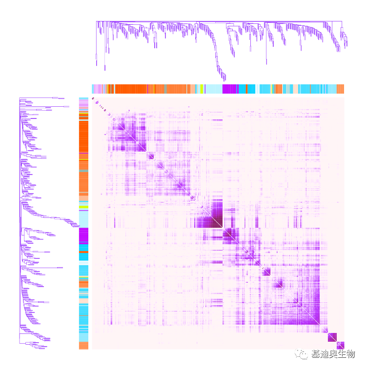 如何绘制基因共表达热图？ 知乎