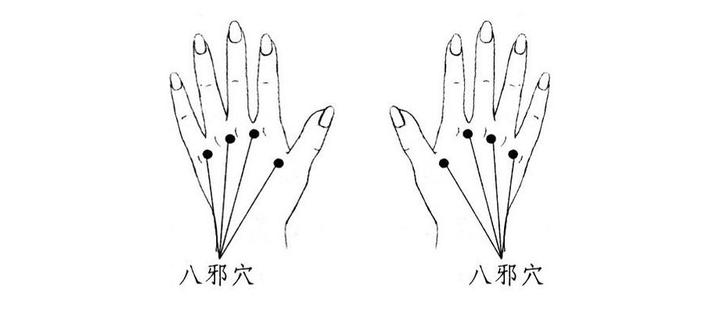 八邪穴的准确位置图及作用功效