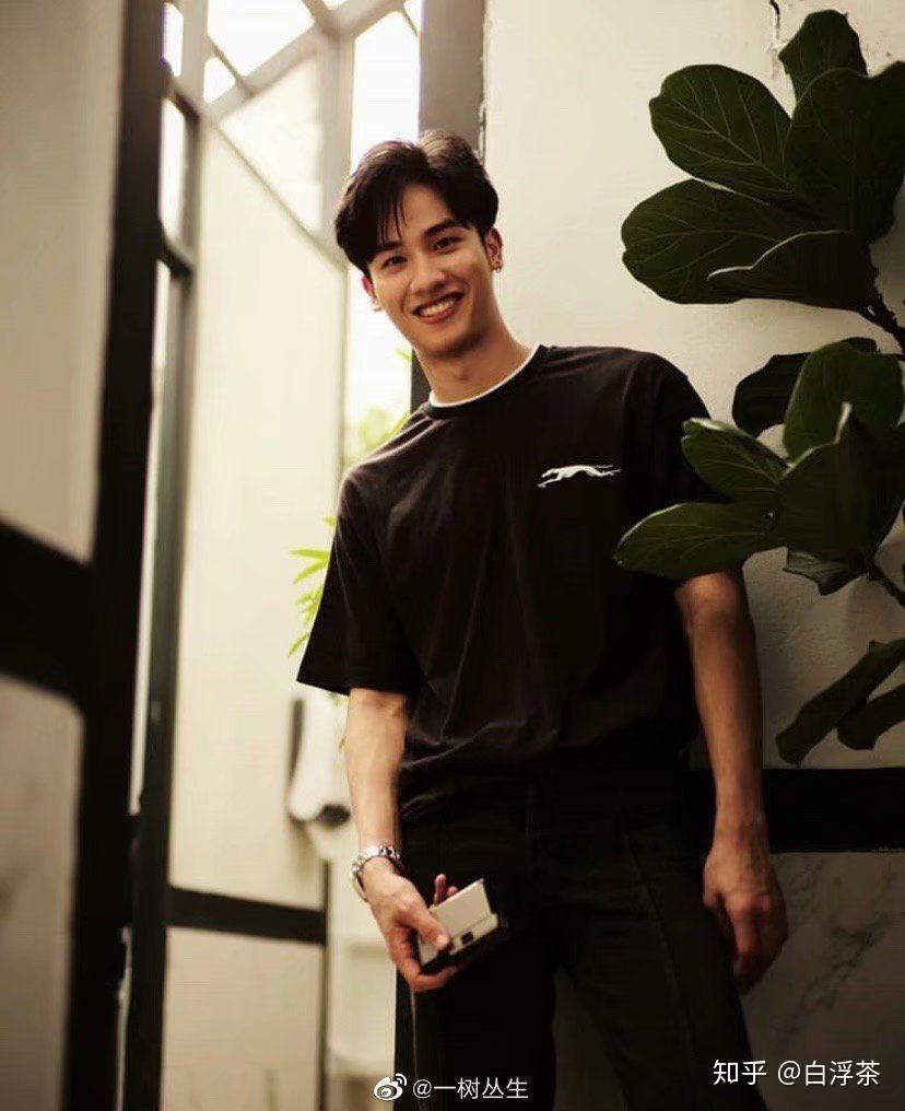 如何评价泰国演员tawanvihokratanataytawan