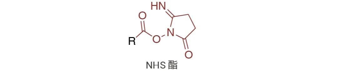 超级干货:蛋白/抗体标记 | MedChemExpress - 知乎