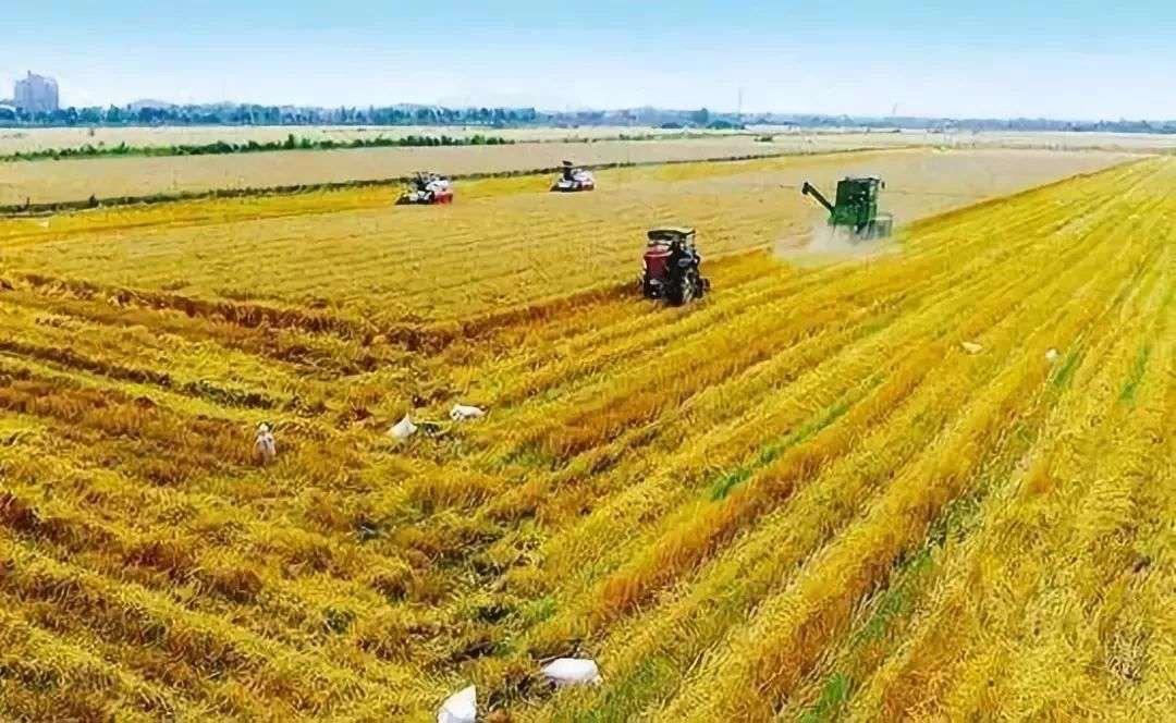 农业工程包含哪些内容